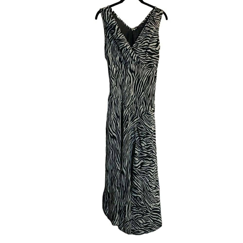 NWT Lapogee Dress